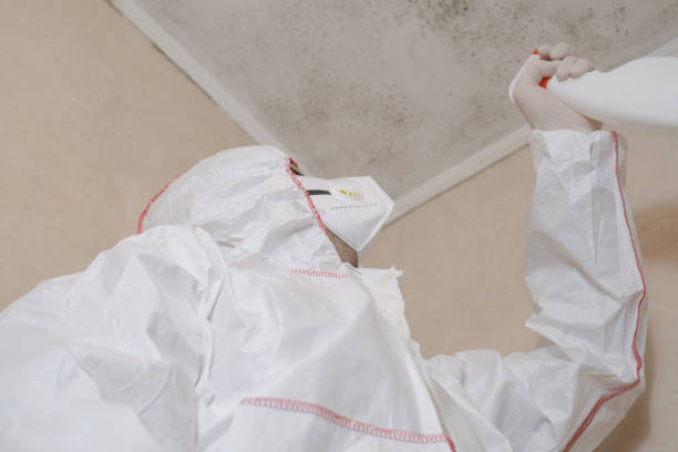 Best Mold Testing  in Waikoloa Village, HI